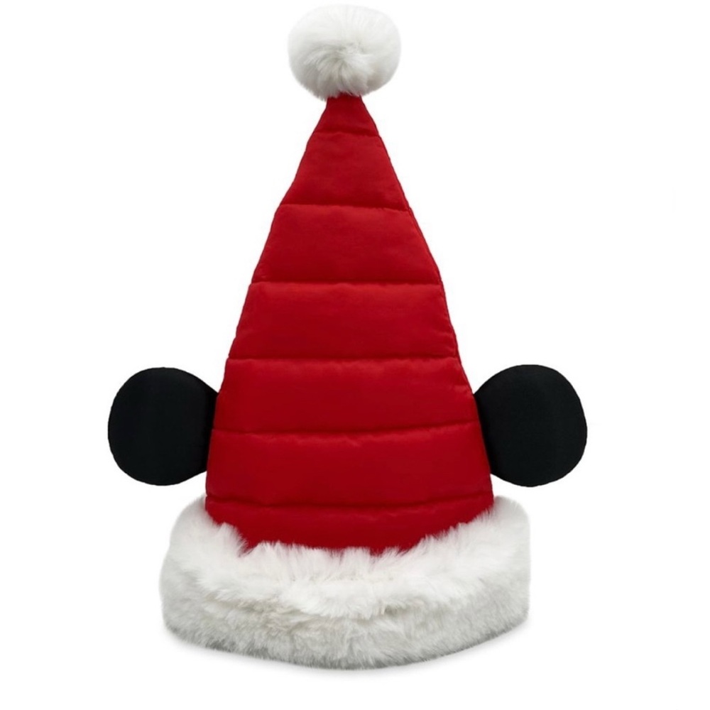 Disney Christmas Santa Hat